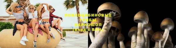 apvp Алексин
