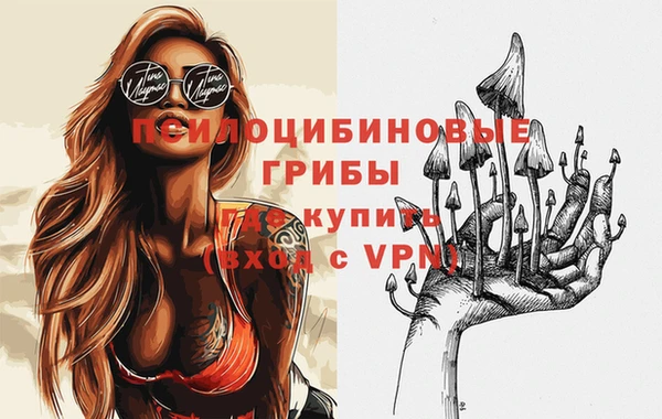 apvp Алексин