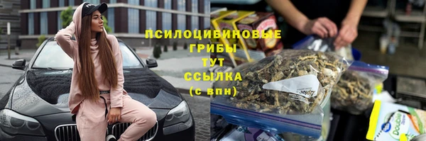 твердый Алзамай
